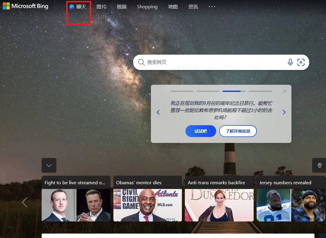 bing.JPG